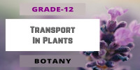 Transport in plants Class 12 Botany 