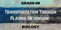 Transportation through plasma membrane Class 9 Biological science