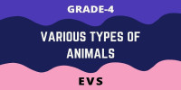 VARIOUS TYPES OF ANIMALS