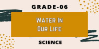 Water in our life Class 6 Science