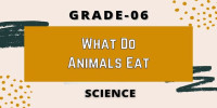 What do animals eat Class 6 Science 